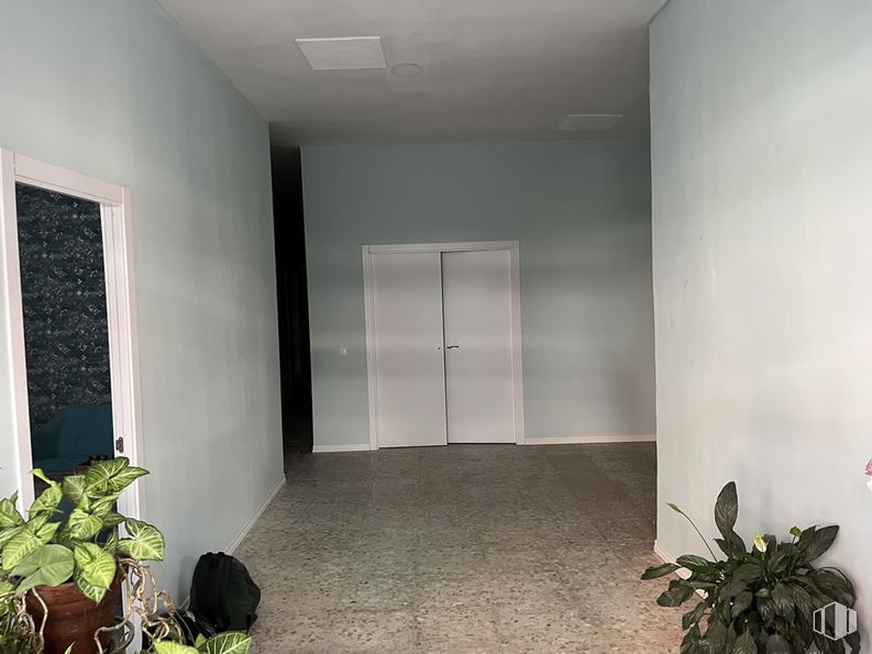 Retail for rent at Zona Centro, San Sebastián de los Reyes, Madrid, 28700 with door, houseplant, plant, flooring, floor, wall, ceiling, room, grey and concrete around