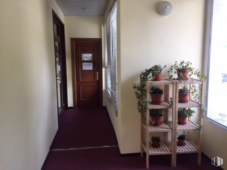 Office for sale at Paseo Álamos, 11, Miraflores de la Sierra, Madrid, 28792 with furniture, door, plant, property, building, flowerpot, houseplant, wood, interior design, fixture and architecture around