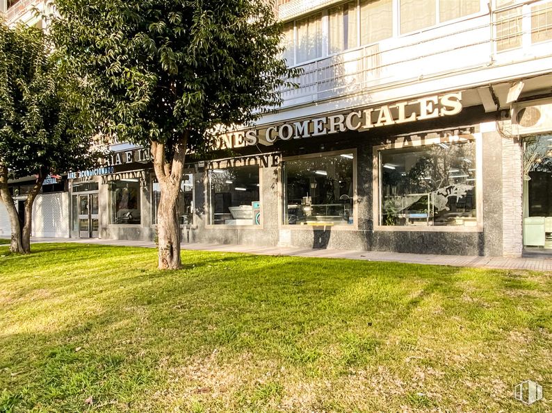 Local en alquiler y venta en Avenida Alcalde José Aranda, Alcorcón, Madrid, 28924 con planta, edificio, árbol, sombra, ventana, hierba, paisaje, zona residencial, fachada y tintes y matices alrededor