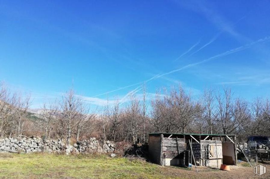 Suelo en venta en Zona Arroyo del Herrero, El Boalo, Madrid, 28413 con cielo, planta, nube, comunidad de plantas, rama, árbol, paisaje natural, hierba, ramita y pastizal alrededor