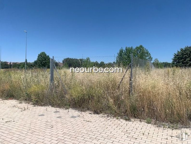 Land for sale at Calles Juan Aurelio Sánchez Tadeo, Ávila, 05003 with sky, plant, plant community, natural landscape, tree, land lot, street light, road surface, grass and road around