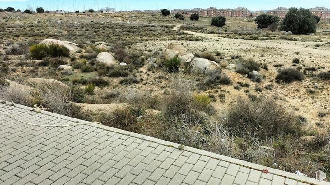 Land for sale at Zona hospital, Ávila, 05004 with plant, plant community, land lot, vegetation, bedrock, natural landscape, grass, tree, landscape and shrub around