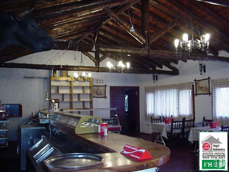 Local en venta en Urbanización Nueva Sierra, Albalate de Zorita, Guadalajara, 19119 con animal, alumbrado, propiedad, interiorismo, ventana, madera, aparato de cocina, cocina, encimera y mesa alrededor