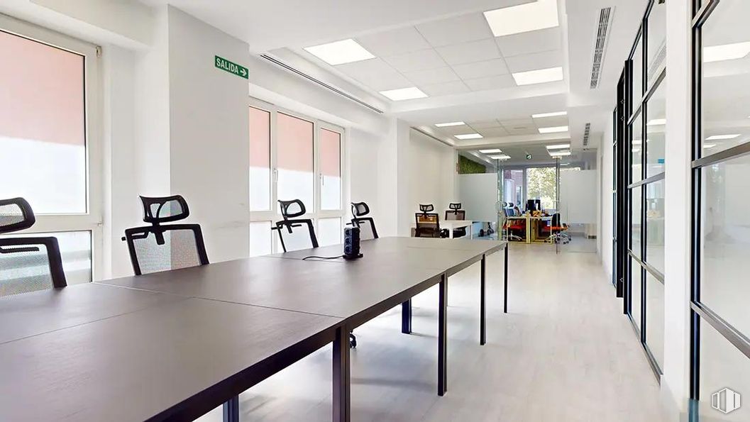 Office for rent at Paseo Castellana, Chamartín, Madrid, 28046 with desk, table, furniture, fixture, chair, interior design, window, floor, flooring and plant around