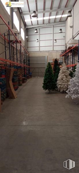 Retail for rent at Zona Cobo Calleja, Fuenlabrada, Madrid, 28947 with christmas tree, plant, wood, road surface, flooring, city, road, event, concrete and metal around