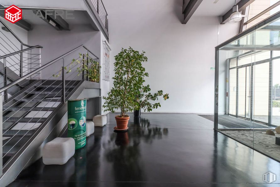 Oficina en venta en Avenida Juan Caramuel, Leganés, Madrid, 28919 con planta de interior, propiedad, planta, maceta, edificio, interiorismo, suelo, suelos, pared y inmobiliario alrededor