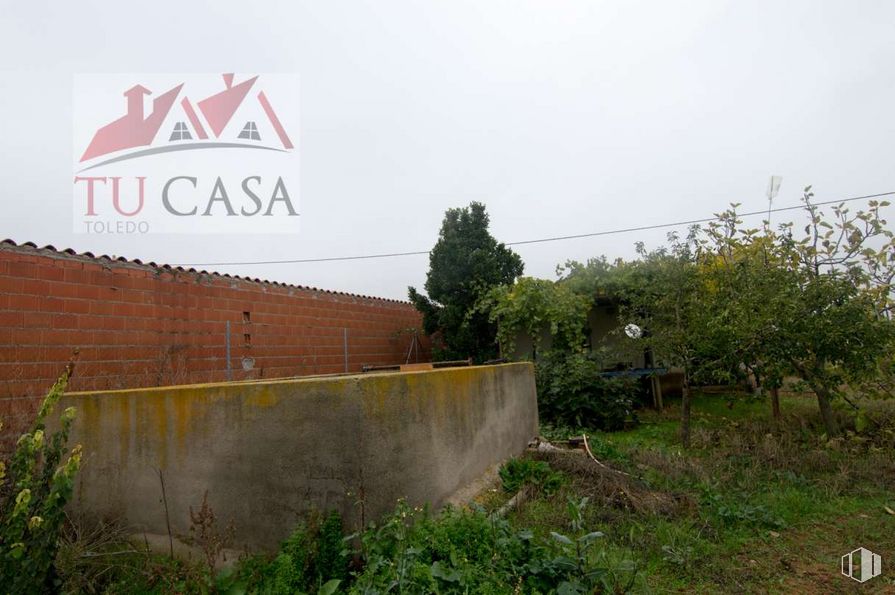 Land for sale at Camino Polán, S/N, Polán, Toledo, 45161 with plant, sky, land lot, landscape, grass, tree, road, shrub, natural landscape and soil around