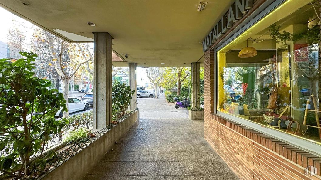 Retail for rent at Avenida de Nazaret, 10, Retiro, Madrid, 28009 with plant, flowerpot, shade, sidewalk and houseplant around