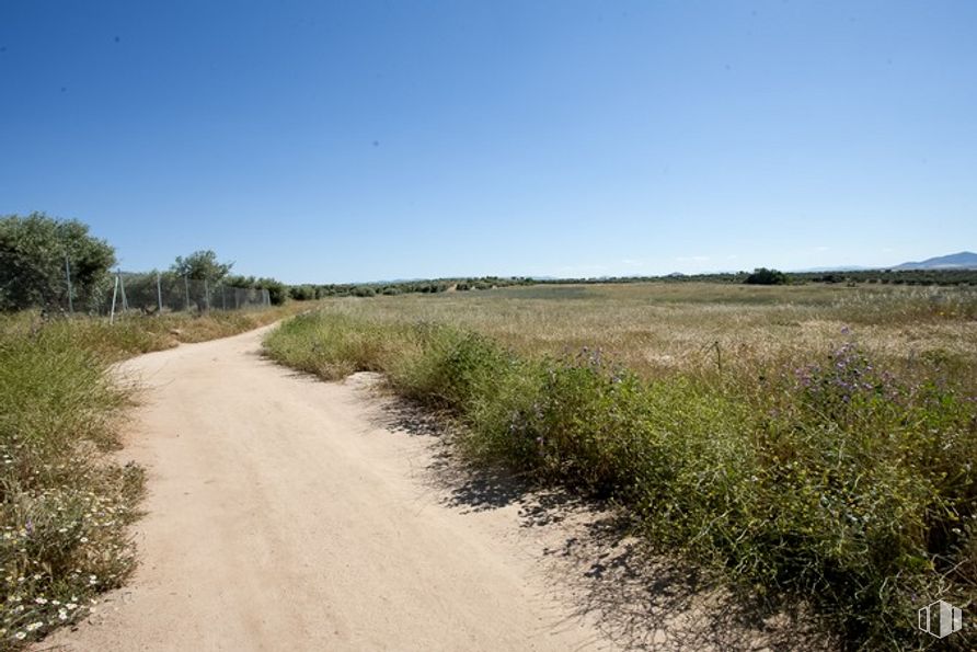 Suelo en venta en Camino Fuente Cordel, Argés, Toledo, 45122 con cielo, planta, paisaje natural, terreno, árbol, llanura, pastizal, paisaje, hierba y arbusto alrededor