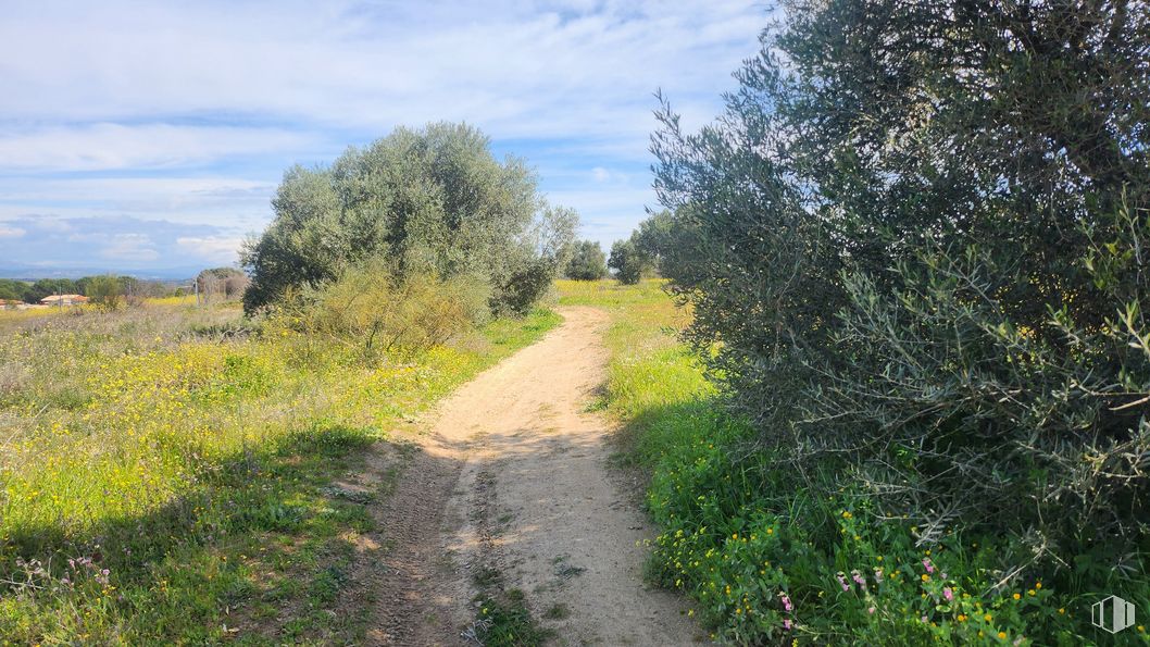 Land for sale at Zona Mirador de Fuente Romero, Hormigos, Toledo, 45919 with plant, cloud, sky, natural landscape, road surface, grass, shrub, tree, thoroughfare and landscape around