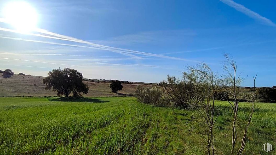 Suelo en venta en Zona La Cortanilla, Villamantilla, Madrid, 28610 con cielo, planta, nube, paisaje natural, lote de terreno, árbol, pradera, llano, paisaje y agricultura alrededor