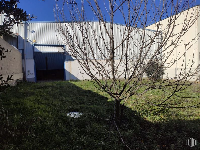 Industrial for rent at Polígono Vicolozano, Ávila, 05194 with building, plant, sky, branch, twig, slope, tree, grass, woody plant and shrub around