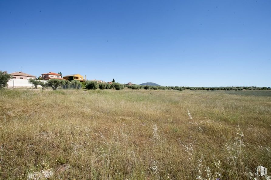 Suelo en venta en Camino Fuente Cordel, Argés, Toledo, 45122 con casa, cielo, planta, nube, paisaje natural, árbol, paisaje, llanura, hierba y pastizal alrededor