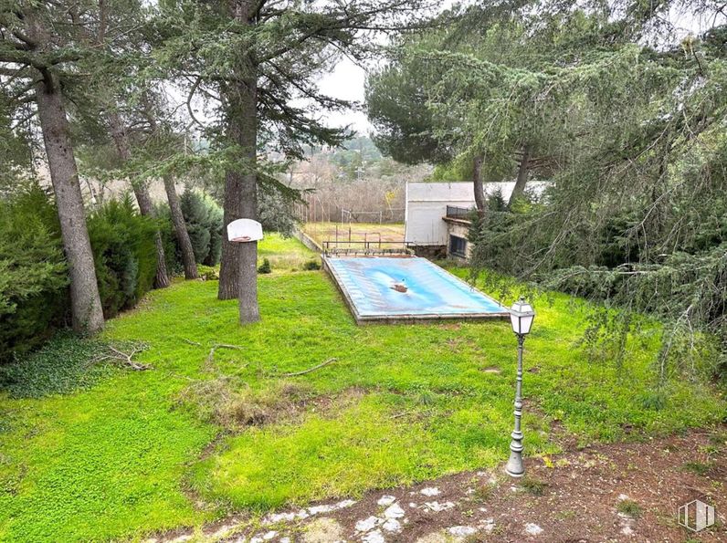 Suelo en venta en Calle Tablada, Alpedrete, Madrid, 28430 con planta, comunidad vegetal, árbol, lote de terreno, sombra, paisaje natural, hierba, cubierta vegetal, paisaje y arbusto alrededor