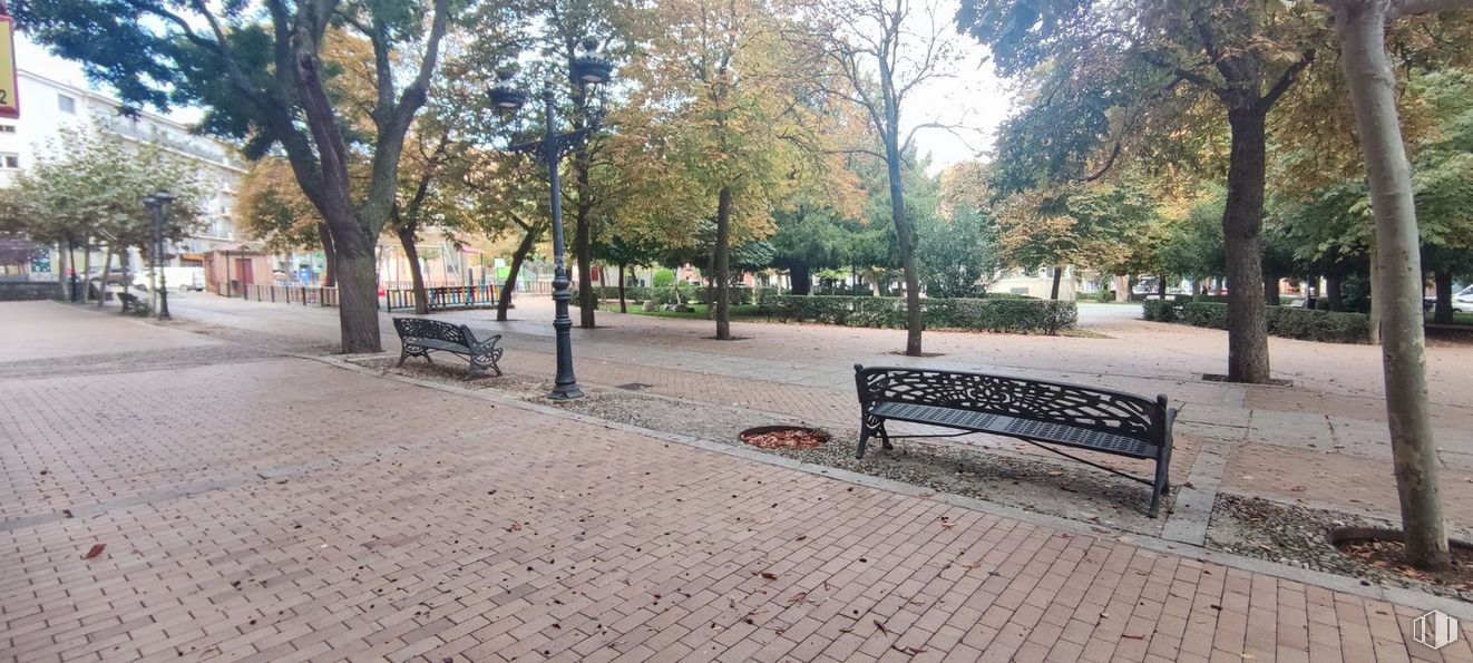 Retail for rent at Calle Jardines del Recreo, Ávila, 05001 with bench, outdoor bench, daytime, furniture, infrastructure, sky, road surface, street furniture, tree and outdoor furniture around