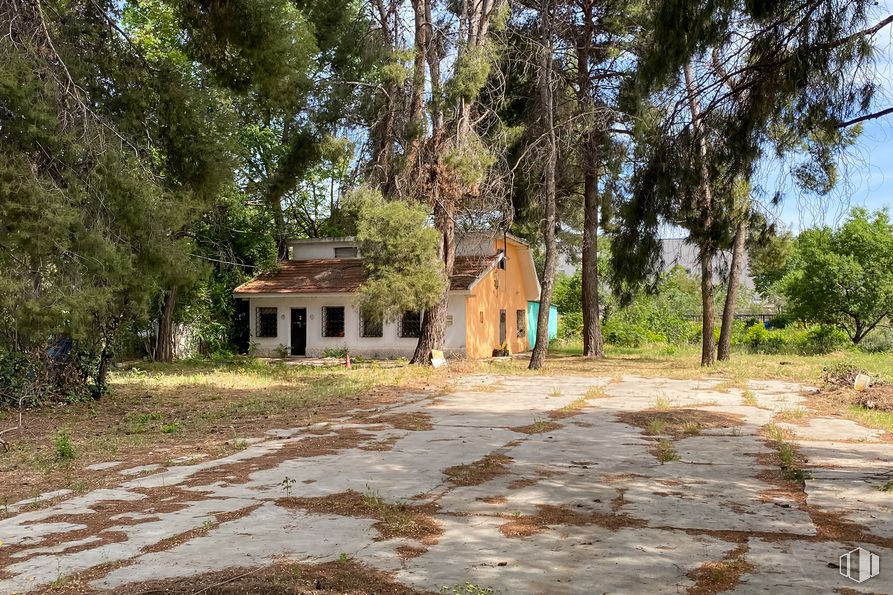 Suelo en venta en Calle Escorpión, 23, Barajas, Madrid, 28042 con casa, planta, árbol, cielo, rama, paisaje natural, superficie de la carretera, madera, terreno y ocio alrededor