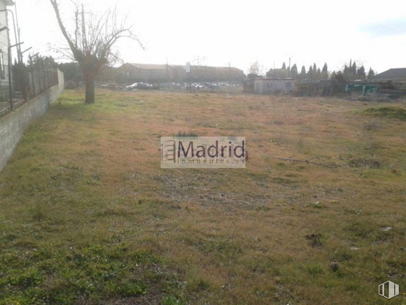 Suelo en venta en Zona Centro, Valdemorillo, Madrid, 28210 con placa de matrícula, planta, cielo, árbol, paisaje natural, lote de tierra, nube, hierba, pastizal y llanura alrededor