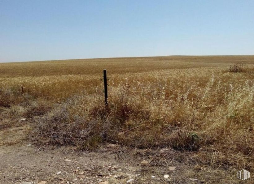 Land for sale at Polígono 9 Parcela 1, Escalona, Toledo, 16800 with natural environment, grassland, ecoregion, plain, field, steppe, brown, prairie, plant community and land lot around