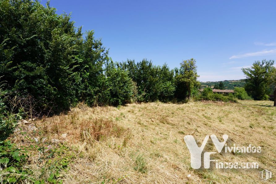 Land for sale at Calle Bajada Escorial, 1, Riaza, Segovia, 40500 with plant, sky, plant community, natural landscape, tree, land lot, cloud, grass, shrub and grassland around