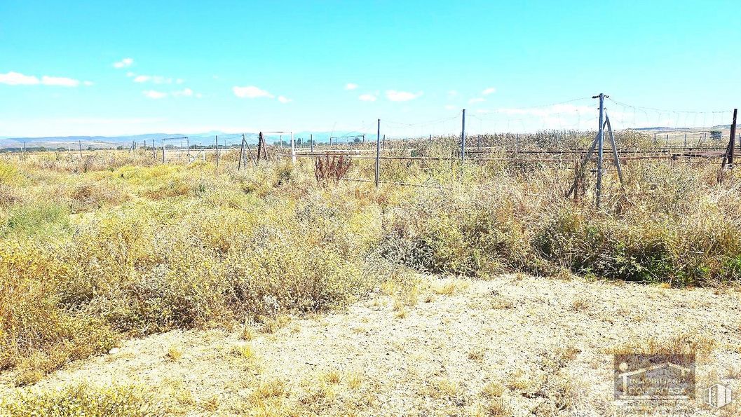 Land for sale at Camino Torrelaguna, Talamanca de Jarama, Madrid, 28160 with sky, cloud, plant, natural landscape, fence, land lot, wire fencing, grassland, plain and landscape around