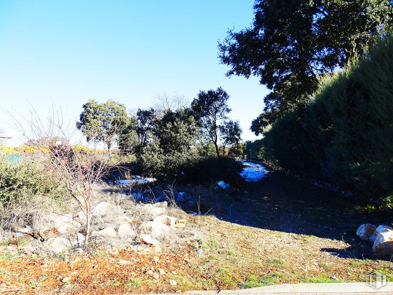 Land for sale at Urbanización las Suertes, Pioz, Guadalajara, 19162 with hat, person, plant, sky, plant community, ecoregion, natural landscape, branch, tree and slope around