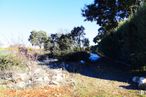 Land for sale at Urbanización las Suertes, Pioz, Guadalajara, 19162 with hat, person, plant, sky, plant community, ecoregion, natural landscape, branch, tree and slope around