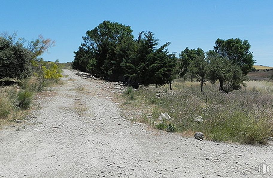 Suelo en venta en Parcela Centro El Salobrillo, 13 263, Ribatejada, Madrid, 28815 con cielo, planta, superficie de carretera, paisaje natural, árbol, vía pública, llanura, hierba, paisaje y pastizal alrededor