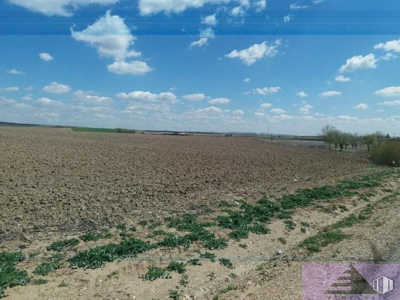 Suelo en venta en Zona Centro, Magán, Toledo, 45590 con nube, cielo, planta, paisaje natural, agricultura, árbol, hierba, cúmulo, pradera y familia de las gramíneas alrededor