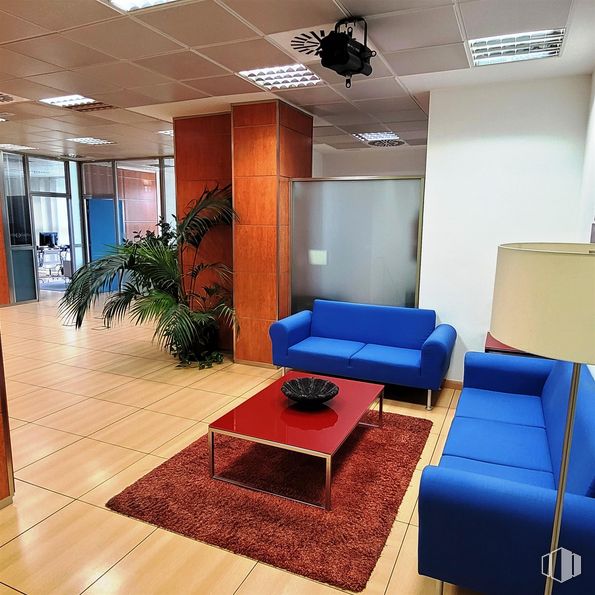 Office for sale & for rent at Calle María Tubau, Fuencarral - El Pardo, Madrid, 28050 with couch, houseplant, coffee table, loveseat, plant, lighting, interior design, multimedia projector, lcd projector and studio couch around