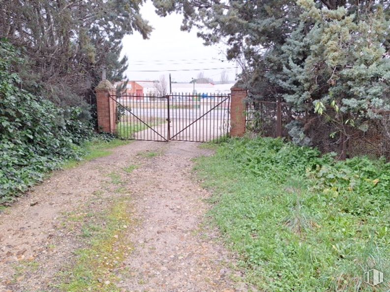 Land for sale at Carretera Paracuellos Belvis, Paracuellos de Jarama, Madrid, 28860 with fence, gate, wire fencing, iron, home fencing, garden, soil, chain-link fencing, trail and backyard around