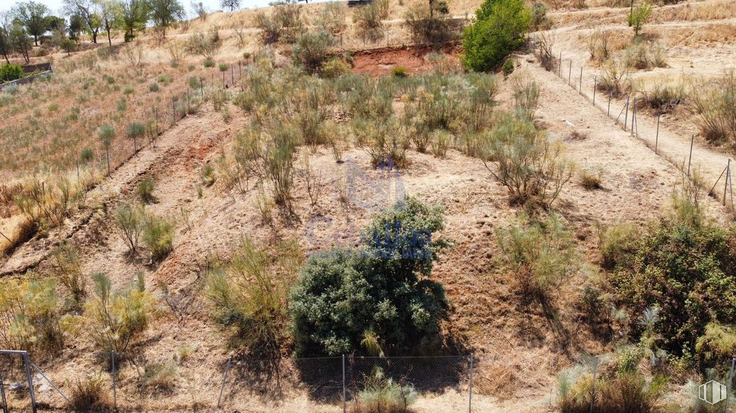 Suelo en venta en Calle Valde Hondillo, Cabanillas del Campo, Guadalajara, 19171 con planta, comunidad vegetal, entorno natural, paisaje natural, lecho de roca, hierba, cubierta vegetal, formación, paisaje y árbol alrededor