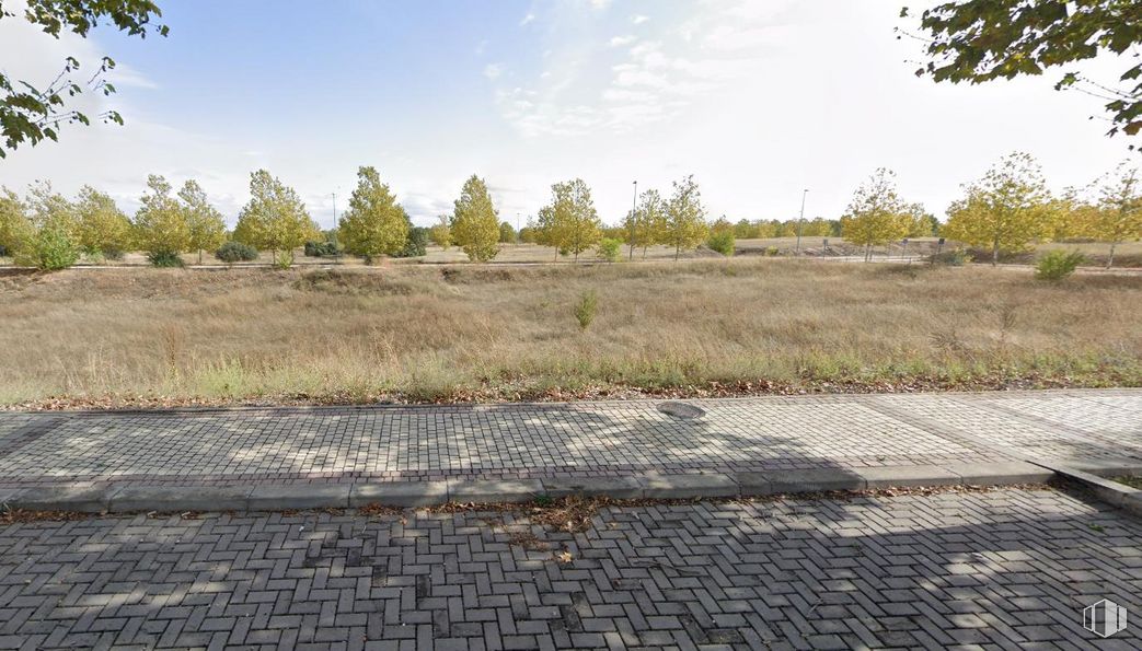 Land for sale at Zona Valdeluz, Yebes, Guadalajara, 19141 with cloud, sky, plant, wood, road surface, tree, natural landscape, asphalt, land lot and vegetation around