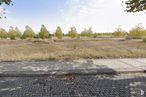 Land for sale at Zona Valdeluz, Yebes, Guadalajara, 19141 with cloud, sky, plant, wood, road surface, tree, natural landscape, asphalt, land lot and vegetation around