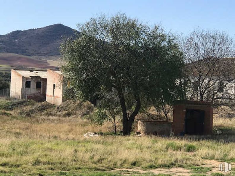 Industrial for sale at Callejón Gorrones, Polán, Toledo, 45161 with house, grass, grassland, plain, rural area, ecoregion, land lot, plant community, human settlement and grasses around