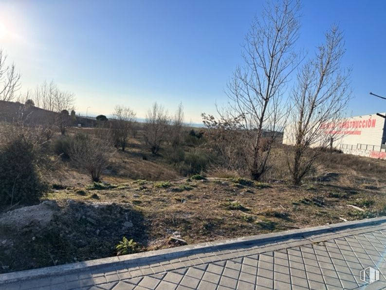 Suelo en venta en Polígono El Tejar, 63 , Majadahonda, Madrid, 28220 con suelo y matorral alrededor