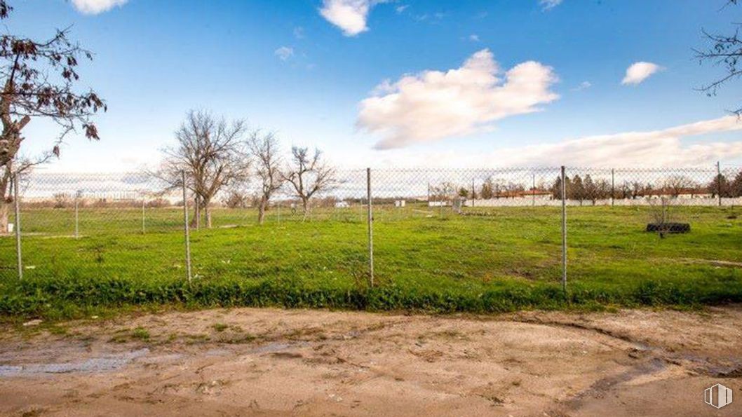 Land for sale at Avenida Aragón - Parcela T.3.5.402, 14, San Blas - Canillejas, Madrid, 28022 with cloud, sky, plant, natural landscape, tree, land lot, fence, cumulus, grassland and grass around