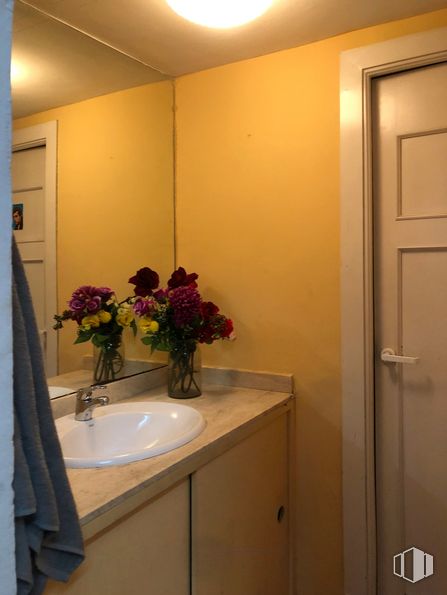 Local en venta en Calle Águila, Centro, Madrid, 28005 con fregadero, ebanistería, puerta, planta de interior, flor, planta, espejo, accesorio de fontanería, maceta y madera alrededor