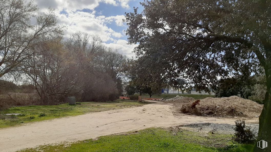 Suelo en venta en Calle Albaricoque, Alpedrete, Madrid, 28430 con animal, nube, planta, cielo, comunidad de plantas, ecorregión, paisaje natural, árbol, rama y lote de tierra alrededor