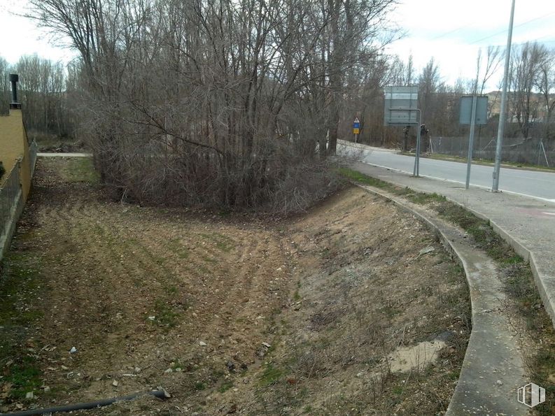 Land for sale at Camino Matadero, Cifuentes, Guadalajara, 19420 with plant, sky, road surface, tree, land lot, asphalt, grass, street light, residential area and road around