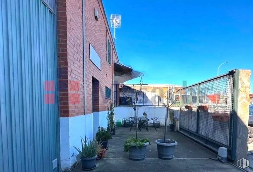 Nave en venta en Travesía Palmera, Arganda del Rey, Madrid, 28500 con maceta, planta, cielo, propiedad, edificio, azul, planta de interior, superficie de la carretera, diseño urbano y barrio alrededor