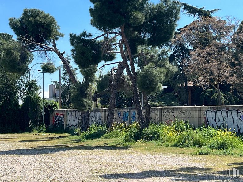 Land for sale at Zona Moncloa - Aravaca, Moncloa - Aravaca, Madrid, 28023 with plant, sky, tree, branch, shade, natural landscape, land lot, house, road surface and grass around