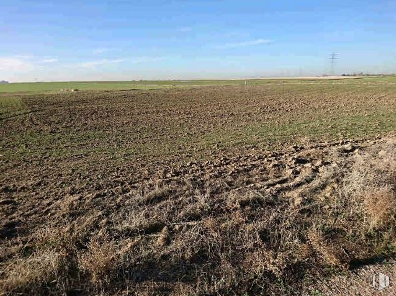 Suelo en venta en Calle Sector, Cubas de la Sagra, Madrid, 28978 con animal, cielo, nube, paisaje natural, agricultura, hierba, pradera, llano, horizonte y paisaje alrededor