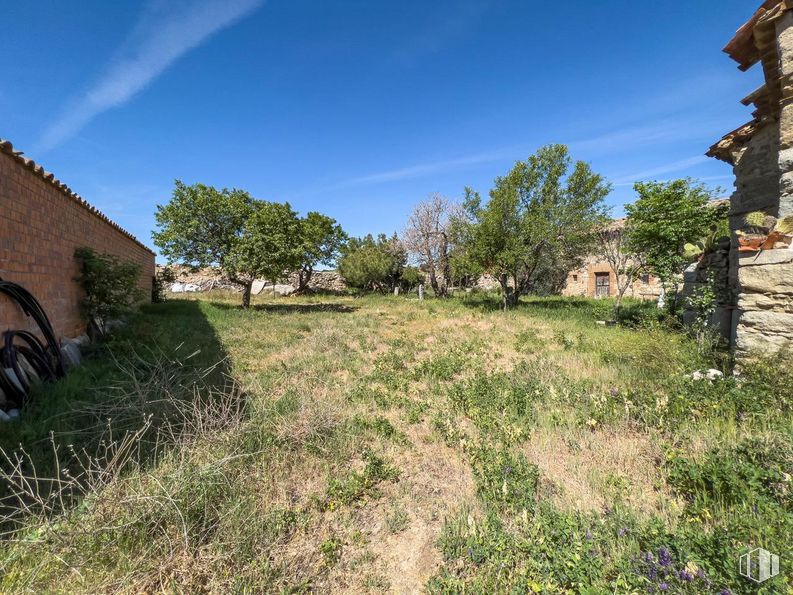 Land for sale at Zona Centro, Cardeñosa, Ávila, 05320 with plant, sky, ecoregion, natural landscape, cloud, land lot, vegetation, tree, grass and grassland around