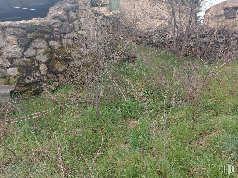 Suelo en venta en Calle Castillo, Sotosalbos, Segovia, 40170 con casa, planta, comunidad vegetal, lote de terreno, hierba, cubierta vegetal, arbusto, ramita, lecho de roca y pradera alrededor