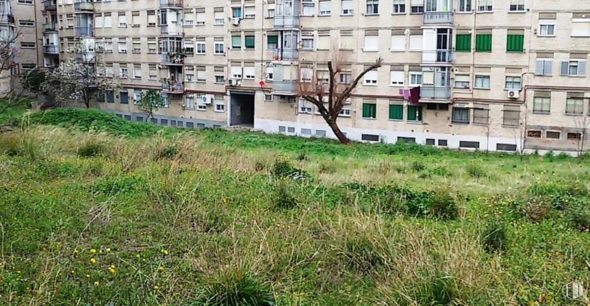 Land for sale at Calle Fuente de San Pedro, Vicálvaro, Madrid, 28032 with building, plant, window, vegetation, land lot, tree, urban design, grass, tower block and condominium around