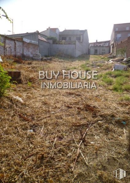 Land for sale at Centro de Yuncler, Yuncler, Toledo, 45529 with building, house, sky, plant, plant community, land lot, vegetation, grass, wood and residential area around