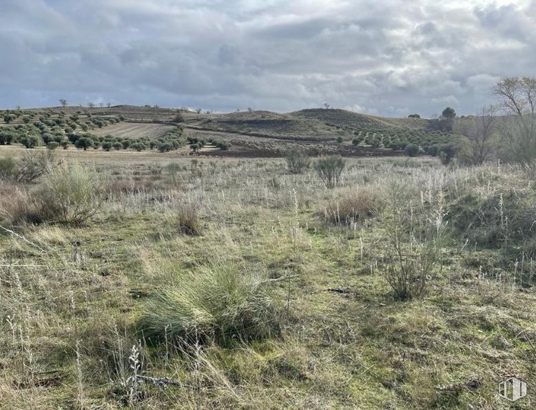 Suelo en venta en Zona de expansión, Villalbilla, Madrid, 28810 con planta, nube, cielo, paisaje natural, tierras altas, pradera, árbol, hierba, paisaje y llano alrededor