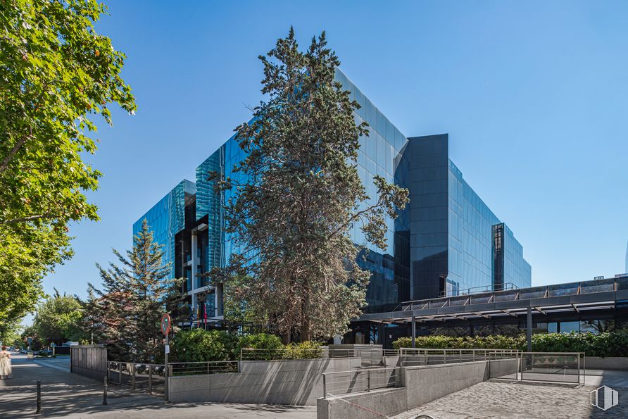 Oficina en alquiler en Paseo Castellana, 280, Chamartín, Madrid, 28046 con edificio, planta, cielo, día, árbol, diseño urbano, bloque torre, condominio, zona residencial y fachada alrededor