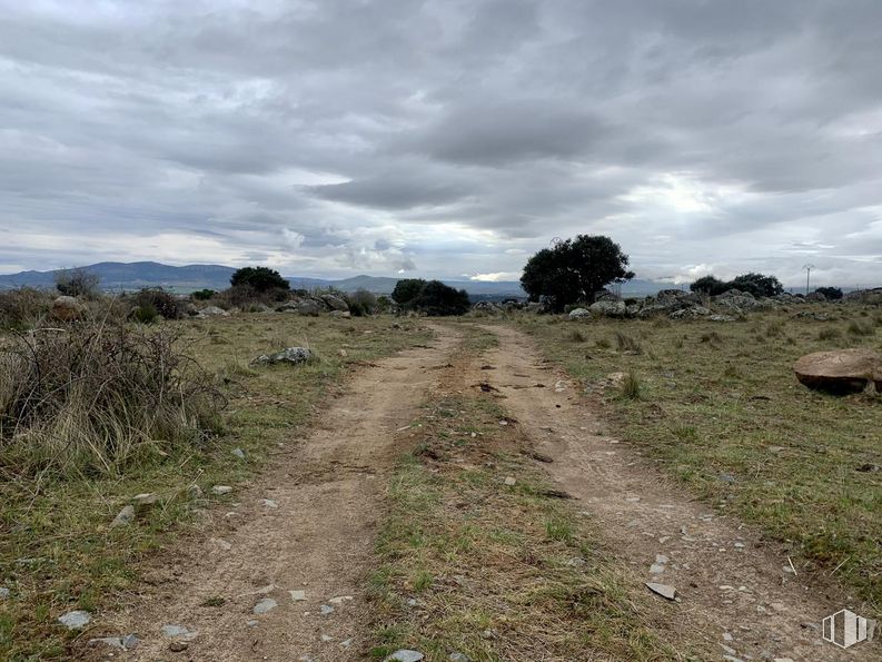 Suelo en venta en Zona centro, Brieva, Segovia, 40180 con nube, cielo, planta, comunidad vegetal, paisaje natural, árbol, hierba, llano, pradera y paisaje alrededor