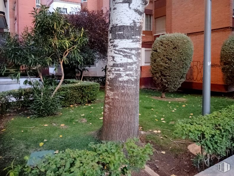 Local en alquiler en Calle Utrillas, Hortaleza, Madrid, 28043 con planta, ventana, edificio, hoja, rama, maletero, lote de terreno, hierba, superficie de la carretera y barrio alrededor